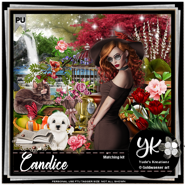 Candice - Click Image to Close